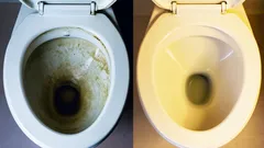 Met deze methode blijft jouw toilet wit, glanzend én geurvrij