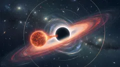Hoe een ster een dodelijke ontmoeting met een zwart gat overleefde