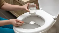 Verstopte wc? Met deze tips is het zo opgelost