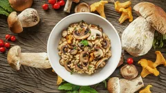 Drie onweerstaanbare paddenstoelenrecepten voor elke thuiskok