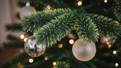 De beste kunstkerstboom kiezen: zo vind je het perfecte model voor jouw woonkamer