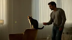 10 Kritieke Fouten Die Je Nooit Met Je Kat Moet Maken