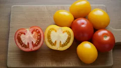 Rood of geel: hoe bepaal je welke tomaat het beste past bij jouw gerecht