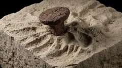 In Frankrijk is een verbazingwekkende ontdekking gedaan die niet in de officiële geschiedenis past.